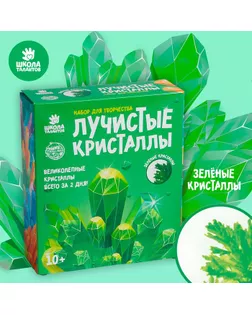 Набор для творчества «Лучистые кристаллы», цвет зелёный арт. СМЛ-91865-1-СМЛ0005115229