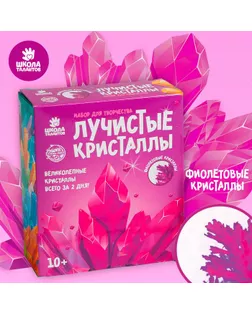 Набор для творчества «Лучистые кристаллы», цвет фиолетовый арт. СМЛ-91870-1-СМЛ0005115234