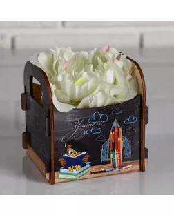 Кашпо деревянное 10.5×10×11 см подарочное Рокси Смит "Учителю. Сова, меловая доска", коробка арт. СМЛ-154999-1-СМЛ0005165110
