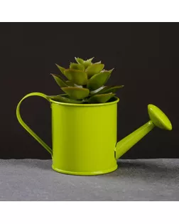 Кашпо "Лейка" 13*6*7см, цвет микс арт. СМЛ-129820-1-СМЛ0005274388