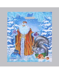 Пакет "Дед Мороз и Снегурочка", полиэтиленовый с вырубной ручкой, 41 х 51 см, 80 мкм арт. СМЛ-93964-1-СМЛ0005297834