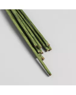 Набор проволоки для флористики d-2 мм, 60 см, 10 шт, зелёный арт. СМЛ-118637-1-СМЛ0005417253
