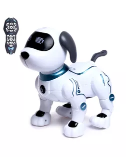 IQ BOT Интерактивная игрушка "Дружок-трюкач" звук, управление с пульта SL-05295 арт. СМЛ-189449-1-СМЛ0006905685