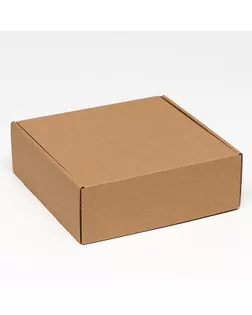 Каробка самосборная, крафт, 23 х 23 х 8 см арт. СМЛ-153734-1-СМЛ0006914776
