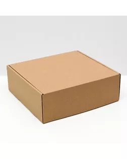 Коробка самосборная, крафт, 27,5 х 26 х 9,5 см арт. СМЛ-156617-1-СМЛ0006914784
