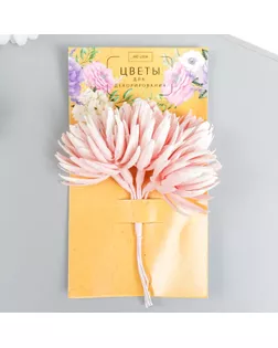Декор для творчества "Игольчатая астра" 1 букет=6 цветков персиковый 4х13 см арт. СМЛ-284299-1-СМЛ0009022667