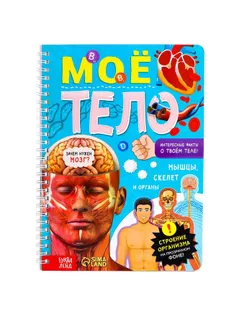 Книга с прозрачными страницами "Моё тело", 32 стр. арт. СМЛ-189454-1-СМЛ0007041125