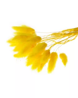 Сухие цветы лагуруса, набор 30 шт, цвет желтый арт. СМЛ-216003-1-СМЛ0007123622