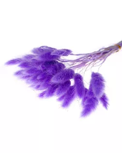 Сухие цветы лагуруса, набор 30 шт, цвет светло фиолетовый арт. СМЛ-216008-1-СМЛ0007123627