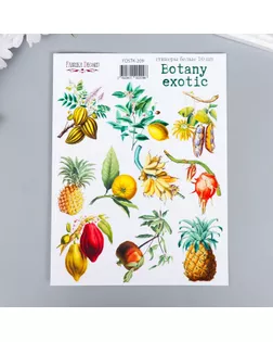 Набор стикеров "Botany exotic" 10 шт арт. СМЛ-194367-1-СМЛ0007149990