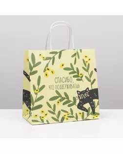 Пакет подарочный «Котейка», 22 х 22 х 11 см арт. СМЛ-215836-1-СМЛ0007150726