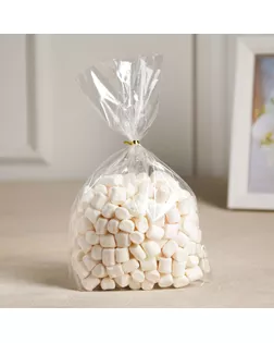 Пакет полипропиленовый фасовочный, прозрачный, 15*22*3 см арт. СМЛ-218392-1-СМЛ0007321954