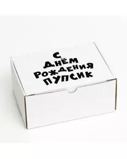 Коробка самосборная "С днем рождения, пупсик", 22 х 16,5 х 10 см арт. СМЛ-190458-1-СМЛ0007387338