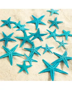 Набор натуральных морских звезд,  1,5 - 2,5 см, 20 шт, синий арт. СМЛ-221836-1-СМЛ0007402193