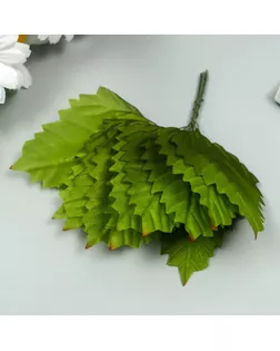 Декор для творчества "Берёзовый лист" 1 букет=12 листиков зелёный 10х8х6 см арт. СМЛ-222943-1-СМЛ0007445276