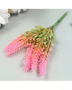 Искусственное растение для творчества "Лаванда" 1 букет=6 веточек розовый 14 см арт. СМЛ-222968-1-СМЛ0007445311