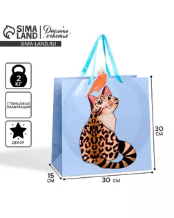 Пакет подарочный, упаковка, «Кот», 30 х 30 х 15 см арт. СМЛ-246860-1-СМЛ0007489513