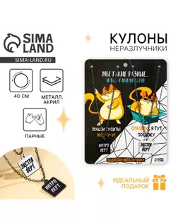 Кулоны парные подвески «Мы такие разные» арт. СМЛ-247095-1-СМЛ0007576778