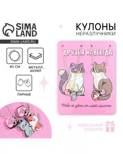 Кулоны парные подвески «Друзья навсегда» арт. СМЛ-264611-1-СМЛ0007576782