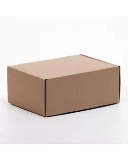 Коробка самосборная, бурая, 23 х 17 х 10 см, арт. СМЛ-215745-1-СМЛ0007620641