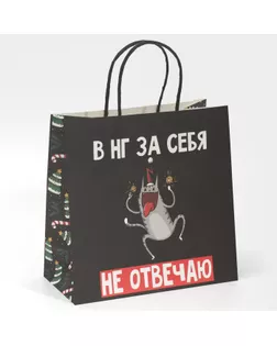 Пакет подарочный новогодний «Вообще не отвечаю», 22 х 22 х 11 см арт. СМЛ-273963-1-СМЛ0007661212