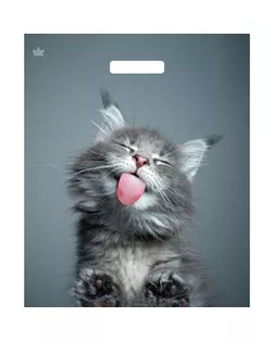 Пакет "Кот", полиэтиленовый с вырубной ручкой, 38х45 см, 60 мкм арт. СМЛ-216819-1-СМЛ0007669439