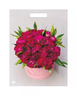 Пакет "Букет пионов", полиэтиленовый с вырубной ручкой, 31х40 см, 60 мкм арт. СМЛ-216840-1-СМЛ0007669465