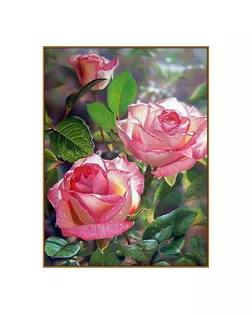 Алмазная мозаика "Королева сада"  30*40см, 34 цв+ наклейка арт. СМЛ-227781-1-СМЛ0007704271