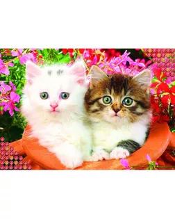 Алмазная вышивка с полным заполнением "Котята", 22 х 32 см арт. СМЛ-24805-1-СМЛ0781622