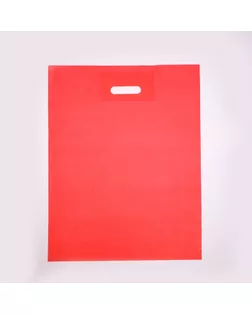 Пакет полиэтиленовый с вырубной ручкой, Красный 30-40 См, 50 мкм арт. СМЛ-248049-1-СМЛ0007819165