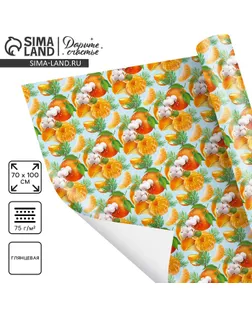 Упаковочная бумага на новый год «Мандарины», 70 х 100 см, глянцевая арт. СМЛ-248233-1-СМЛ0007838749