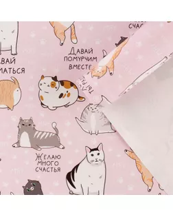 Бумага упаковочная глянцевая «Коты», 70 х 100 см арт. СМЛ-248241-1-СМЛ0007840573