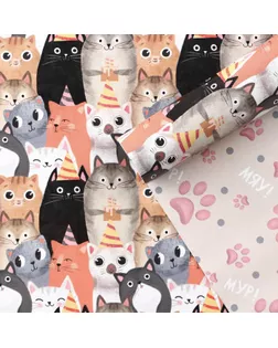 Бумага упаковочная глянцевая двухсторонняя «Котики», 50 х 70 см арт. СМЛ-265929-1-СМЛ0007860494