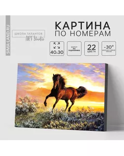 Картина по номерам на холсте с подрамником «Грациозный бег коня», 40 х 30 см арт. СМЛ-270607-1-СМЛ0007880882