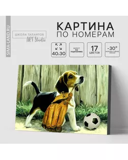 Картина по номерам на холсте с подрамником «Щенок с мячом», 40 х 30 см арт. СМЛ-273851-1-СМЛ0007880885