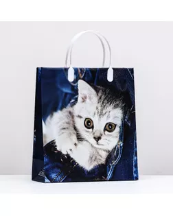 Пакет "Котенок на джинсах", мягкий пластик, 26 x 23 см, 110 мкм арт. СМЛ-283355-1-СМЛ0009079511