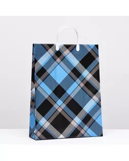 Пакет "Шотландские мотивы", мягкий пластик, 42 x 32 см, 120 мкм арт. СМЛ-283358-1-СМЛ0009079823