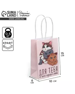 Пакет подарочный крафтовый, упаковка, «Подарок для тебя», 15 х 10 х 6 см арт. СМЛ-250121-1-СМЛ0009115386