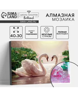 Алмазная мозаика с полным заполнением на подрамнике «Лебеди на озере», 30 х 40 см арт. СМЛ-251882-1-СМЛ0009315941