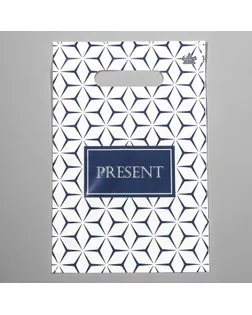 Пакет "Презент стиль", полиэтиленовый с вырубной ручкой, 20х30 см, 30 мкм арт. СМЛ-253896-1-СМЛ0009489590