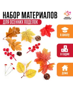 Набор для творчества «Материалы для осенних поделок. Листья, шишки» арт. СМЛ-254111-1-СМЛ0009512802