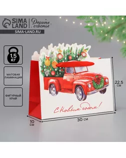 Пакет подарочный новогодний «Спешу к тебе», 30 х 25 х 10 см арт. СМЛ-270956-1-СМЛ0009525653