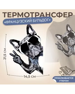 Термотрансфер «Французский бульдог», 14,5 × 21,5 см, цена за 1 штуку арт. СМЛ-254949-1-СМЛ0009579194