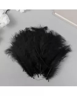 Перо декоративное гусиное пуховое "Чёрное" набор 40 шт h=10-15 см арт. СМЛ-255365-1-СМЛ0009604778