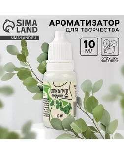 Ароматизатор для творчества «Эвкалипт», концентрированный, 10 мл арт. СМЛ-257654-1-СМЛ0009700846