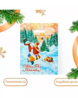 Пакет "С Новым Годом и Рождеством", полиэтиленовый с вырубной ручкой, 30х40 см. арт. СМЛ-259468-1-СМЛ0009782330