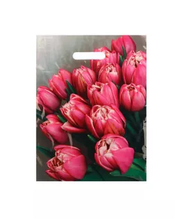 Пакет "Стелла", полиэтиленовый с вырубной ручкой 31х40 см, 60 мкм арт. СМЛ-259480-1-СМЛ0009783037