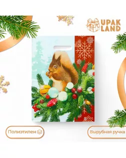 Пакет "Белочка на новогодней ветке", полиэтиленовый с вырубной ручкой, 30х40 см. арт. СМЛ-259747-1-СМЛ0009803241
