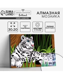 Алмазная мозаика с полным заполнением на подрамнике «Снежный барс», 20 × 30 см арт. СМЛ-283278-1-СМЛ0009815053