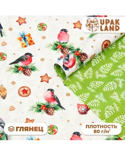 Бумага упаковочная глянцевая двусторонняя "Снегири ", 68 х 100 см арт. СМЛ-260167-1-СМЛ0009842369